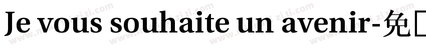 Je vous souhaite un avenir字体转换